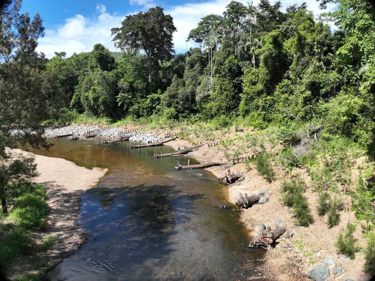 Murray Creek after the works, with the bank stabilised and revegetated