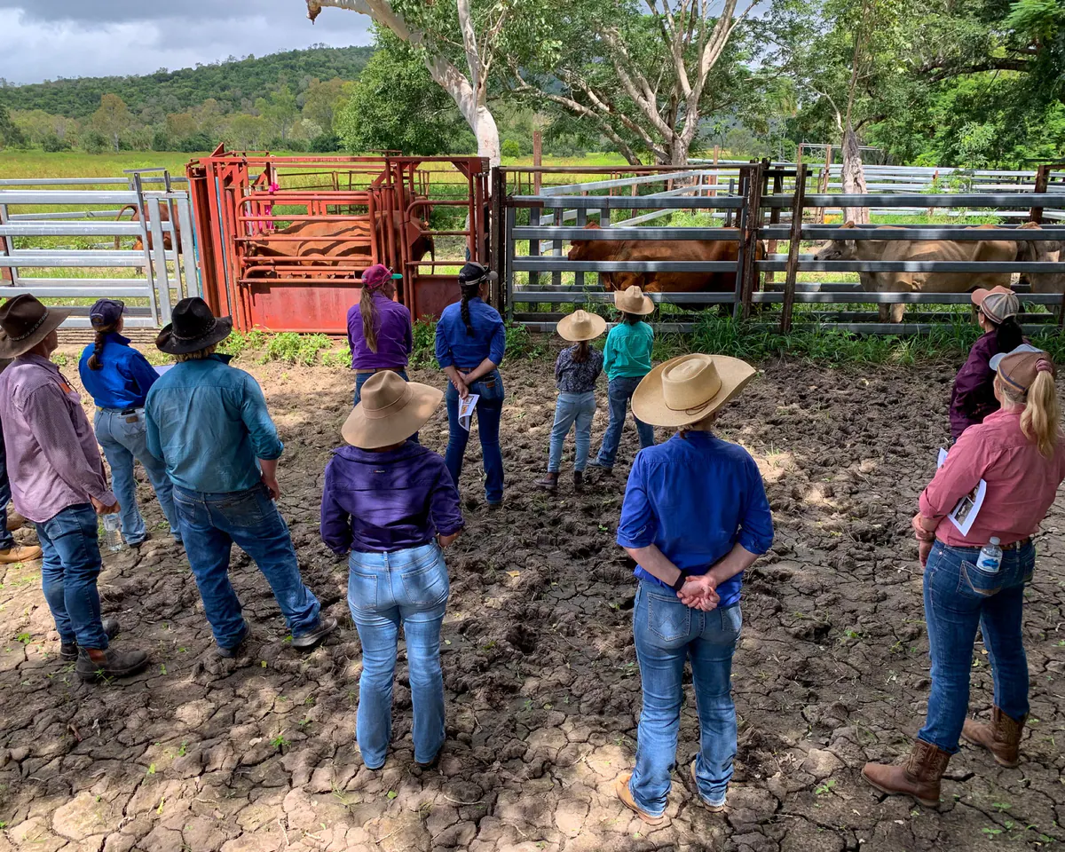 Workshop participants in the cattle yards
