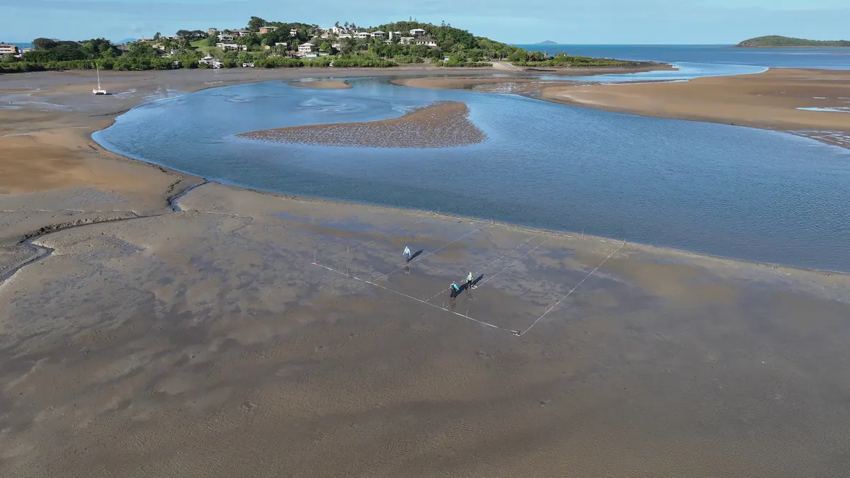Sarina Inlet at low tide